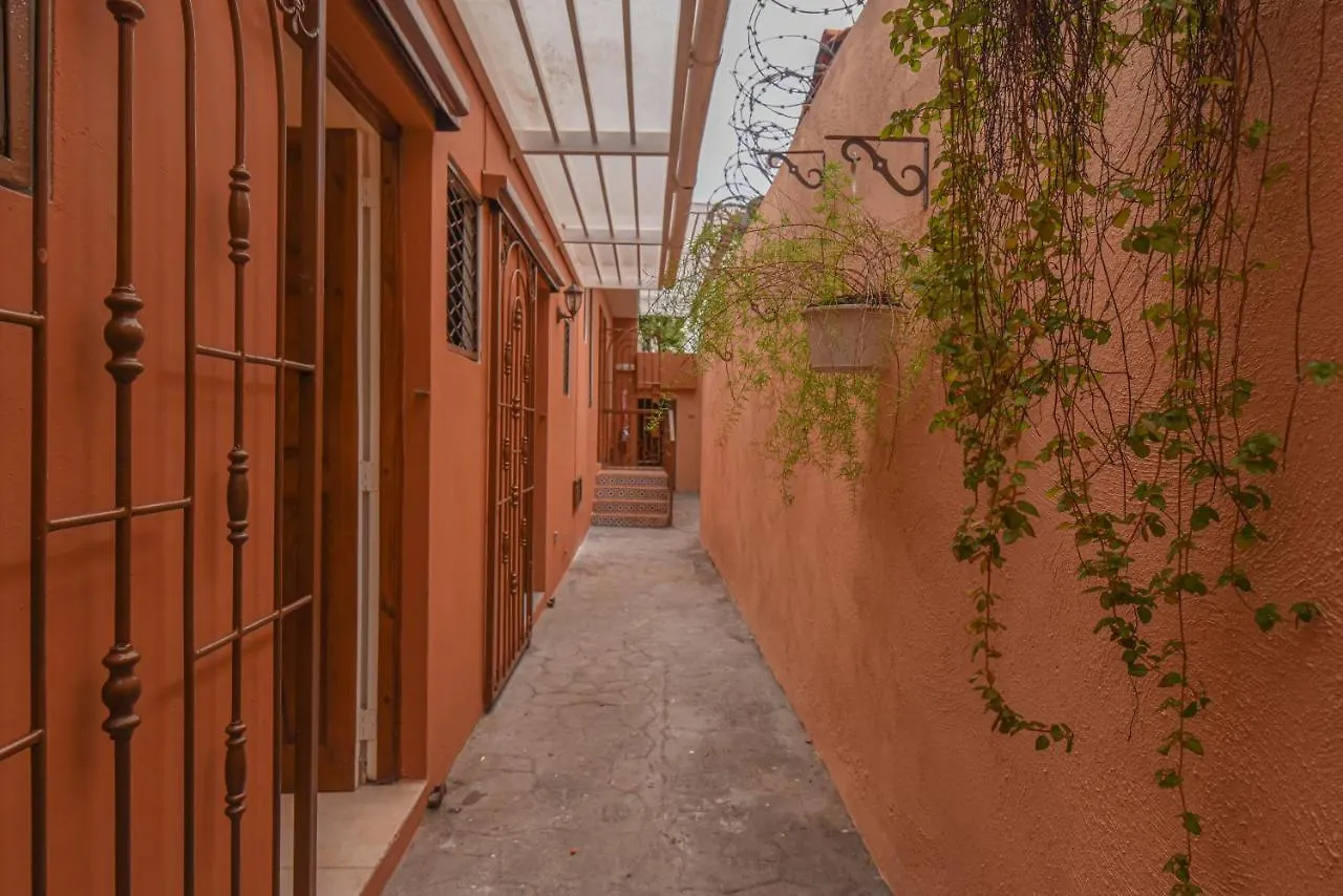 Ph 19 Guesthouse Hotel In Gazcue Santo Domingo 0*,
